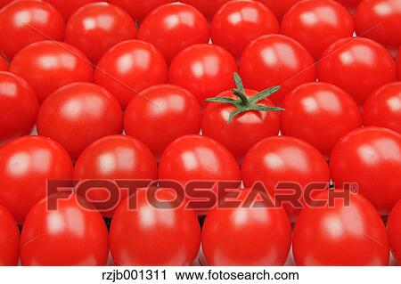 Cherry tomatoes View Large Photo Image Stock Image - Cherry tomatoes. Fotosearch