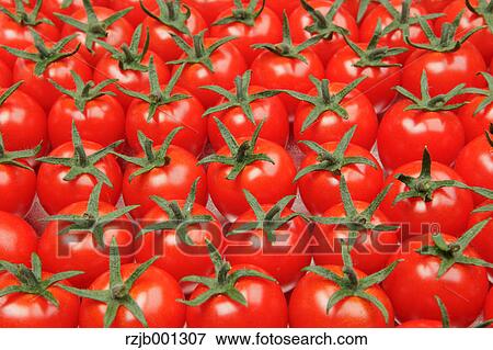 Cherry tomatoes View Large Photo Image Stock Photo - Cherry tomatoes. Fotosearch
