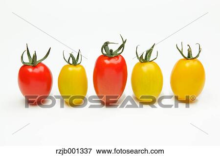 Stock Photo - Cherry tomatoes. Fotosearch