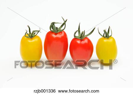 Cherry tomatoes View Large Photo Image Stock Photograph - Cherry tomatoes. Fotosearch