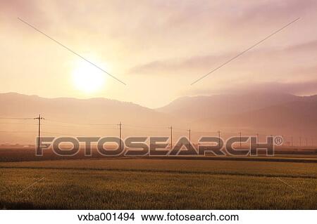 Countryside at summer, Yamanashi Prefecture View Large Photo Image Picture - Countryside at summer, Yamanashi Prefecture. Fotosearch