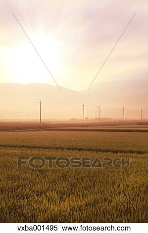 Countryside at summer, Yamanashi Prefecture View Large Photo Image Stock Photography - Countryside at summer, Yamanashi Prefecture. Fotosearch