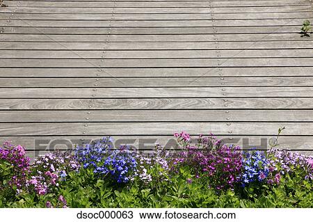 Flowers and wooden deck View Large Photo Image Stock Image - Flowers and wooden deck. Fotosearch