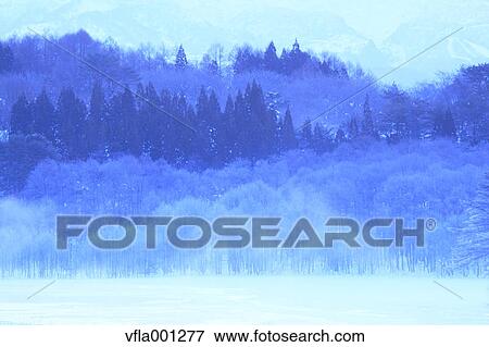 Fog and snow at Lake Onogawa, Fukushima prefecture View Large Photo Image Stock Photo - Fog and snow at Lake Onogawa, Fukushima prefecture. Fotosearch