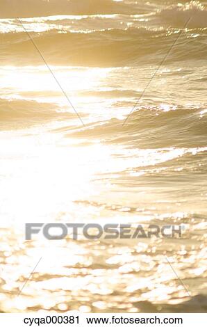 Golden sea View Large Photo Image Stock Image - Golden sea. Fotosearch