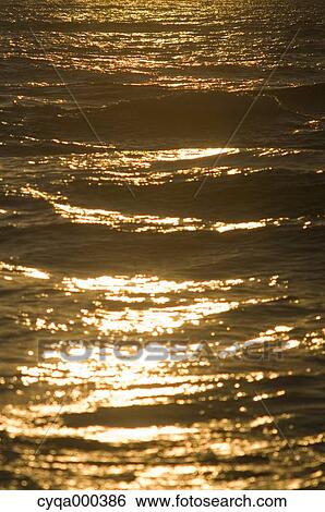 Stock Photograph - Golden sea. Fotosearch