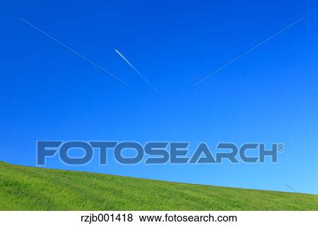 Grassland and blue sky, Hokkaido View Large Photo Image Stock Photo - Grassland and blue sky, Hokkaido. Fotosearch