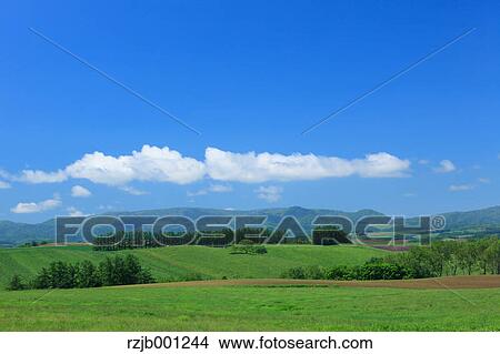 Grassland and blue sky with clouds, Hokkaido View Large Photo Image Picture - Grassland and blue sky with clouds, Hokkaido. Fotosearch
