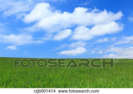 Grassland and blue sky with clouds, Hokkaido View Large Photo Image Picture - Grassland and blue sky with clouds, Hokkaido. Fotosearch