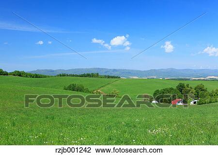 Stock Image - Grassland and blue sky with clouds, Hokkaido. Fotosearch