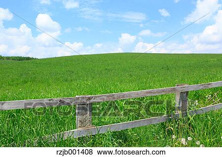 Grassland and blue sky with clouds, Hokkaido View Large Photo Image Stock Photo - Grassland and blue sky with clouds, Hokkaido. Fotosearch