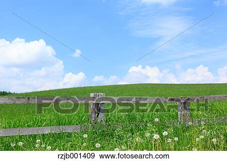 Stock Photo - Grassland and blue sky with clouds, Hokkaido. Fotosearch