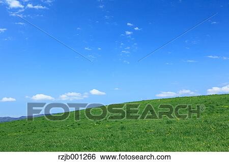 Stock Photograph - Grassland and blue sky with clouds, Hokkaido. Fotosearch