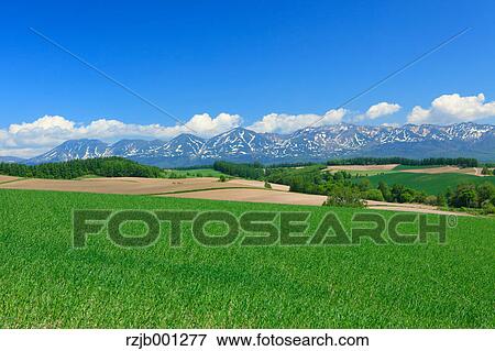 Stock Photo - Grassland and sky with clouds, Hokkaido. Fotosearch