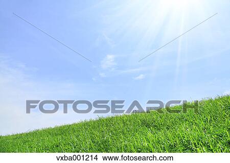 Grassland and sky with clouds View Large Photo Image Picture - Grassland and sky with clouds. Fotosearch