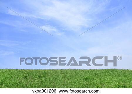 Grassland and sky with clouds View Large Photo Image Stock Photograph - Grassland and sky with clouds. Fotosearch