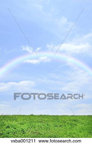 Grassland and sky with rainbow View Large Photo Image Stock Image - Grassland and sky with rainbow. Fotosearch