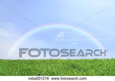 Grassland and sky with rainbow View Large Photo Image Stock Photograph - Grassland and sky with rainbow. Fotosearch