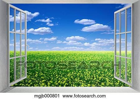 Grassland and white window View Large Photo Image Stock Image - Grassland and white window. Fotosearch