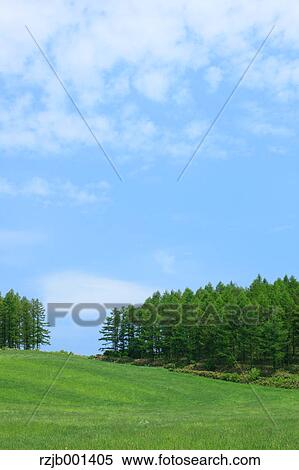 Stock Photography - Grassland trees and sky with clouds, Hokkaido. Fotosearch