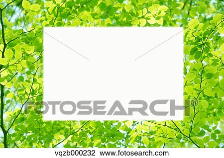 Green leaves View Large Photo Image Stock Image - Green leaves. Fotosearch