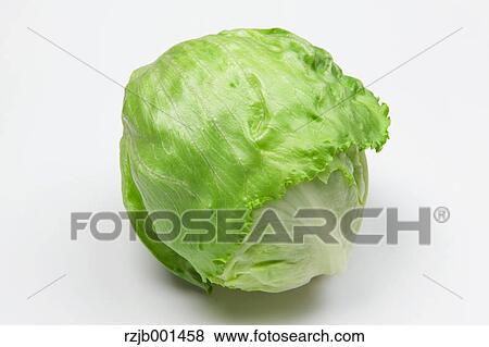 Stock Photo - ? Lettuce. Fotosearch