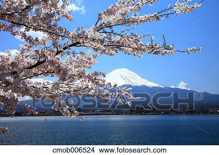 Mount Fuji and Lake Kawaguchi, Yamanashi Prefecture View Large Photo Image Picture - Mount Fuji and Lake Kawaguchi, Yamanashi Prefecture. Fotosearch
