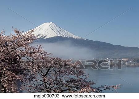 Mount Fuji and Lake Kawaguchi View Large Photo Image Stock Image - Mount Fuji and Lake Kawaguchi. Fotosearch