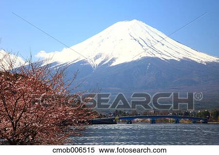 Mount Fuji and Lake Kawaguchi, Yamanashi Prefecture View Large Photo Image Stock Photography - Mount Fuji and Lake Kawaguchi, Yamanashi Prefecture. Fotosearch