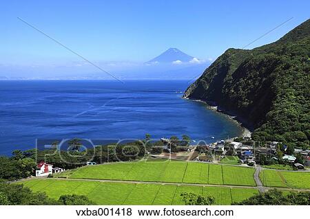 Mount Fuji and Suruga Bay, Shizuoka Prefecture View Large Photo Image Stock Photo - Mount Fuji and Suruga Bay, Shizuoka Prefecture. Fotosearch