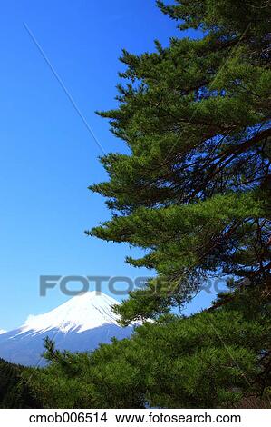 Mount Fuji, Yamanashi Prefecture View Large Photo Image Picture - Mount Fuji, Yamanashi Prefecture. Fotosearch