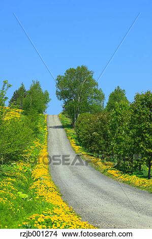 Road and grassland View Large Photo Image Picture - Road and grassland. Fotosearch