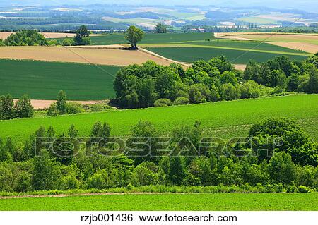 Rural landscape, Hokkaido View Large Photo Image Stock Photograph - Rural landscape, Hokkaido. Fotosearch