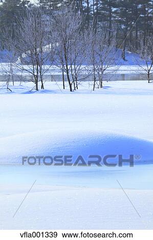 Snow at Lake Onogawa, Fukushima prefecture View Large Photo Image Stock Photo - Snow at Lake Onogawa, Fukushima prefecture. Fotosearch