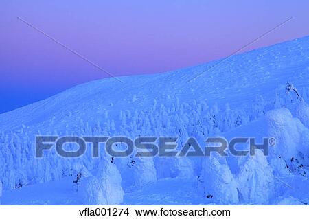 Snow in Zao, Yamagata Prefecture View Large Photo Image Picture - Snow in Zao, Yamagata Prefecture. Fotosearch