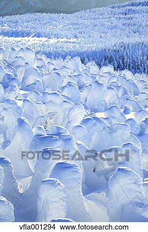Picture - Snow in Zao, Yamagata Prefecture. Fotosearch