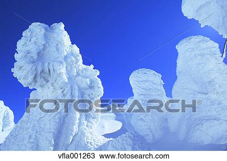 Snow in Zao, Yamagata Prefecture View Large Photo Image Stock Image - Snow in Zao, Yamagata Prefecture. Fotosearch