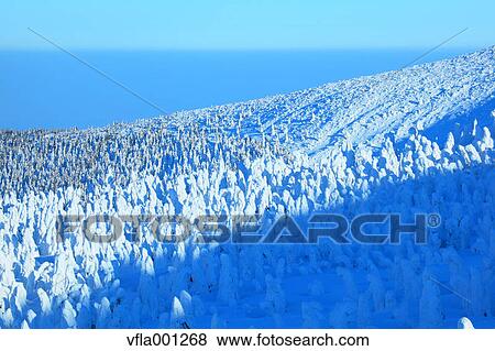 Snow in Zao, Yamagata Prefecture View Large Photo Image Stock Photo - Snow in Zao, Yamagata Prefecture. Fotosearch
