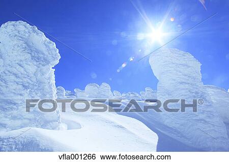 Stock Photograph - Snow in Zao, Yamagata Prefecture. Fotosearch