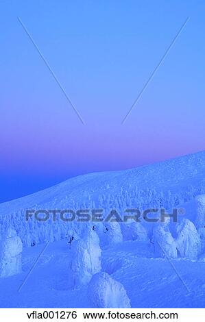 Snow in Zao, Yamagata Prefecture View Large Photo Image Stock Photograph - Snow in Zao, Yamagata Prefecture. Fotosearch