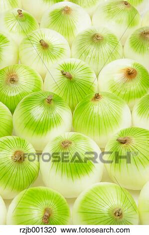 Spring onions View Large Photo Image Stock Image - Spring onions. Fotosearch