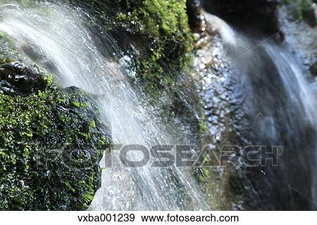 Spring water View Large Photo Image Stock Photo - Spring water. Fotosearch