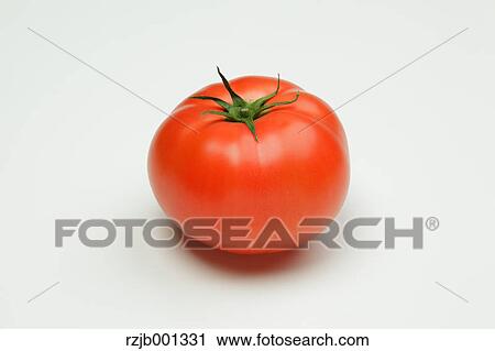 Tomato View Large Photo Image Stock Image - Tomato. Fotosearch