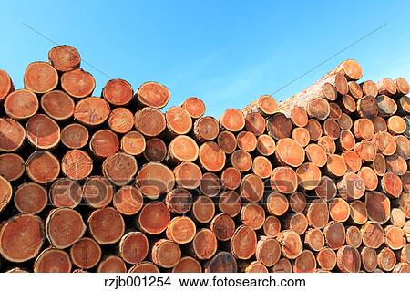 Wood logs and sky View Large Photo Image Picture - Wood logs and sky. Fotosearch