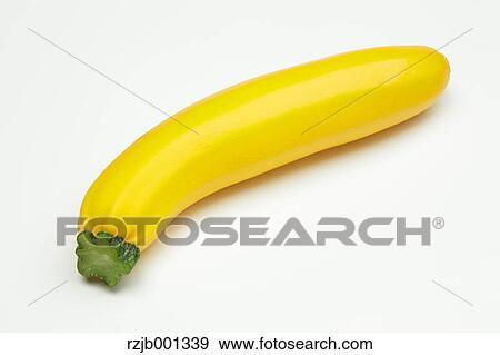 Yellow zucchini View Large Photo Image Stock Photo - Yellow zucchini. Fotosearch