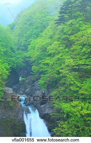 Akiu falls, Miyagi Prefecture View Large Photo Image Stock Photography - Akiu falls, Miyagi Prefecture. Fotosearch