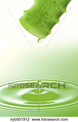 Aloe juice View Large Photo Image Stock Image - Aloe juice. Fotosearch