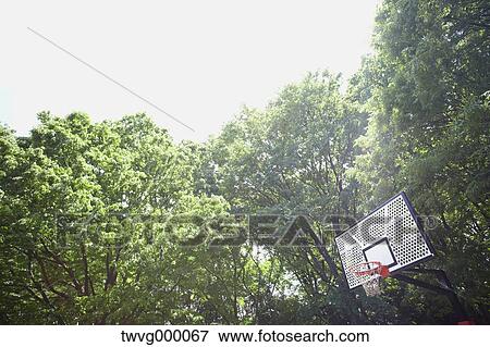 Stock Photo - Basketball hoop and trees. Fotosearch