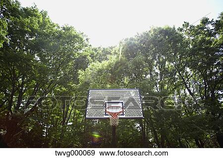 Stock Photo - Basketball hoop and trees. Fotosearch