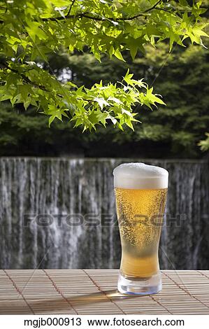 Stock Image - Beer and maple leaves. Fotosearch